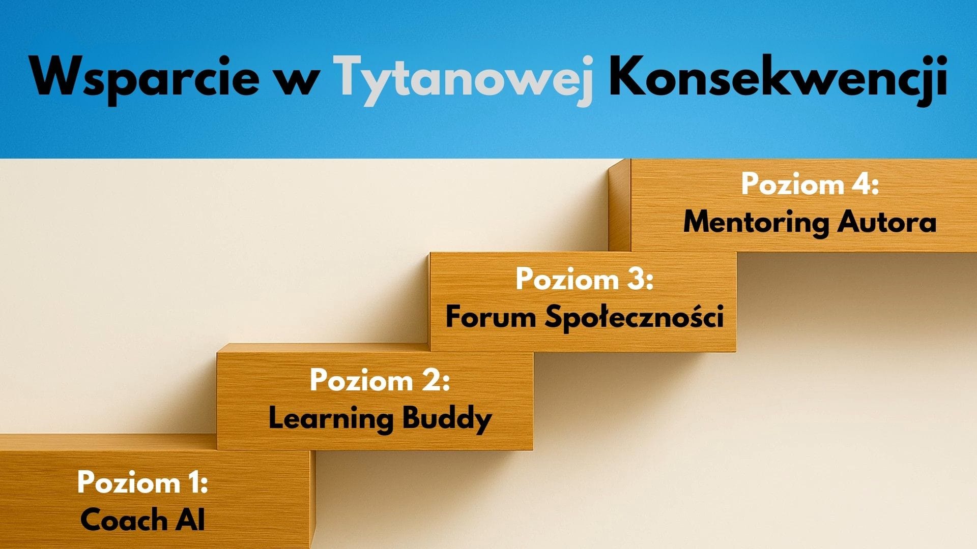 System Tytanowej Konsekwencji